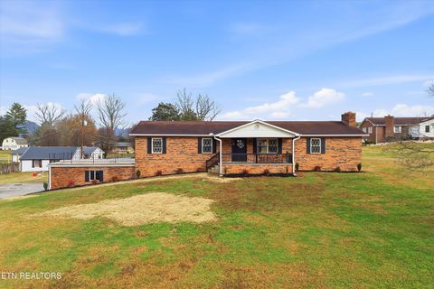 Photo of 229 Brown Crest Rd, LaFollette, TN 37766 (MLS # 1322923)