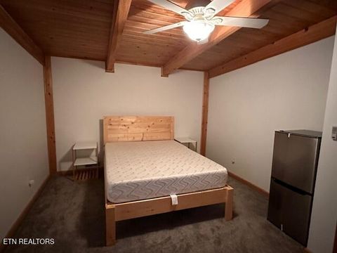 Tiny photo for 1015 Kizzy Patch Way, Del Rio, TN 37727 (MLS # 1319565)