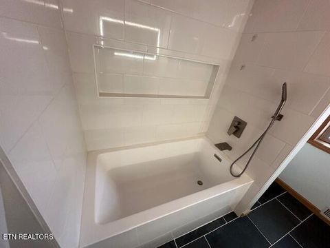 Tiny photo for 1015 Kizzy Patch Way, Del Rio, TN 37727 (MLS # 1319565)