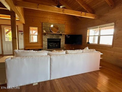 Tiny photo for 1015 Kizzy Patch Way, Del Rio, TN 37727 (MLS # 1319565)