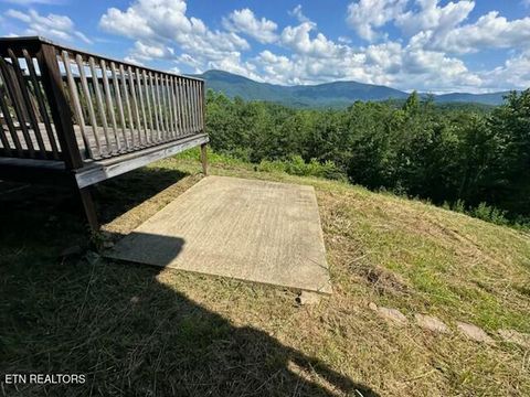 Tiny photo for 1015 Kizzy Patch Way, Del Rio, TN 37727 (MLS # 1319565)