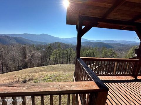 Tiny photo for 1015 Kizzy Patch Way, Del Rio, TN 37727 (MLS # 1319565)