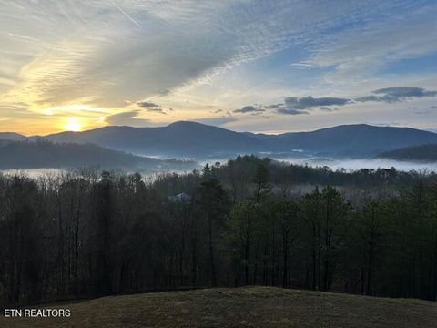 Tiny photo for 1015 Kizzy Patch Way, Del Rio, TN 37727 (MLS # 1319565)