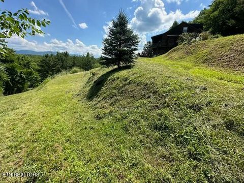 Tiny photo for 1015 Kizzy Patch Way, Del Rio, TN 37727 (MLS # 1319565)