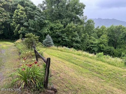 1015 Kizzy Patch Way Del Rio TN 37727