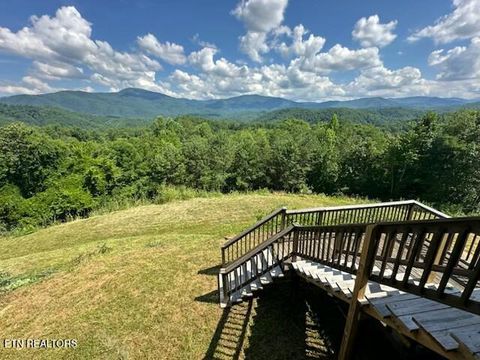 Tiny photo for 1015 Kizzy Patch Way, Del Rio, TN 37727 (MLS # 1319565)