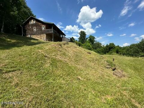 Tiny photo for 1015 Kizzy Patch Way, Del Rio, TN 37727 (MLS # 1319565)