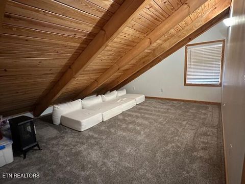 Tiny photo for 1015 Kizzy Patch Way, Del Rio, TN 37727 (MLS # 1319565)