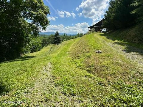 Tiny photo for 1015 Kizzy Patch Way, Del Rio, TN 37727 (MLS # 1319565)