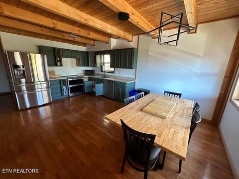 Tiny photo for 1015 Kizzy Patch Way, Del Rio, TN 37727 (MLS # 1319565)