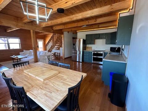 Tiny photo for 1015 Kizzy Patch Way, Del Rio, TN 37727 (MLS # 1319565)