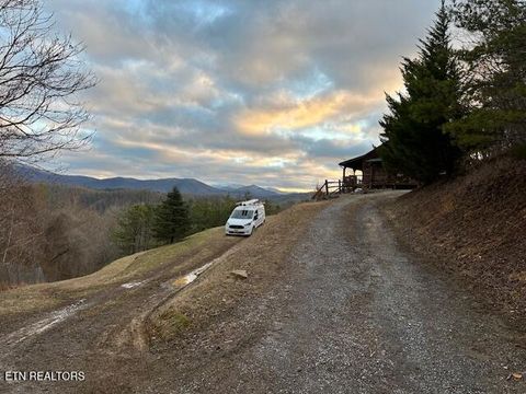 Photo of 1015 Kizzy Patch Way, Del Rio, TN 37727 (MLS # 1319565) Photo of 1015 Kizzy Patch Way, Del Rio, TN 37727 (MLS # 1319565)