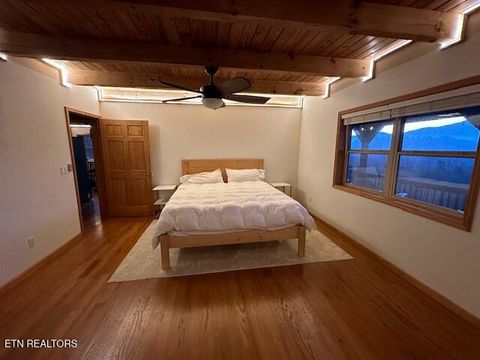 Tiny photo for 1015 Kizzy Patch Way, Del Rio, TN 37727 (MLS # 1319565)