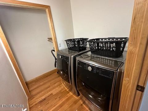 Tiny photo for 1015 Kizzy Patch Way, Del Rio, TN 37727 (MLS # 1319565)