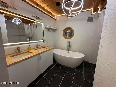 Tiny photo for 1015 Kizzy Patch Way, Del Rio, TN 37727 (MLS # 1319565)