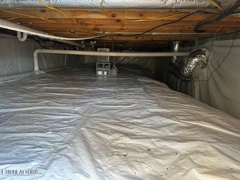 Tiny photo for 1015 Kizzy Patch Way, Del Rio, TN 37727 (MLS # 1319565)