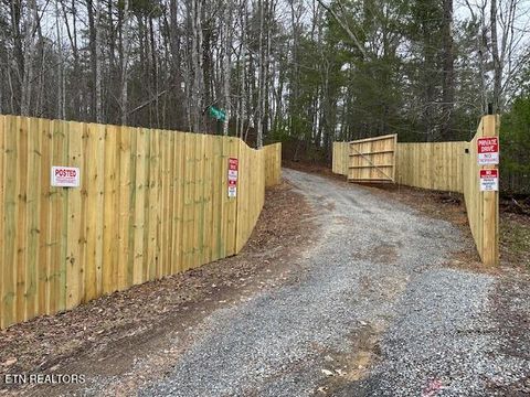 Tiny photo for 1015 Kizzy Patch Way, Del Rio, TN 37727 (MLS # 1319565)