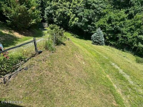 Tiny photo for 1015 Kizzy Patch Way, Del Rio, TN 37727 (MLS # 1319565)