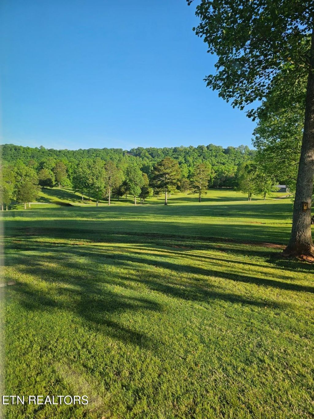 Photo of 252 Brunner Rd, Sweetwater, TN 37874 (MLS # 1328514)