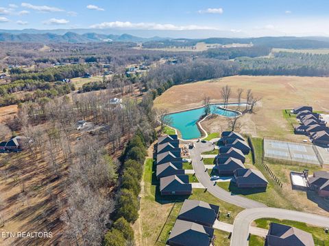 Tiny photo for 219 Lake View Point, Englewood, TN 37329 (MLS # 1324550)