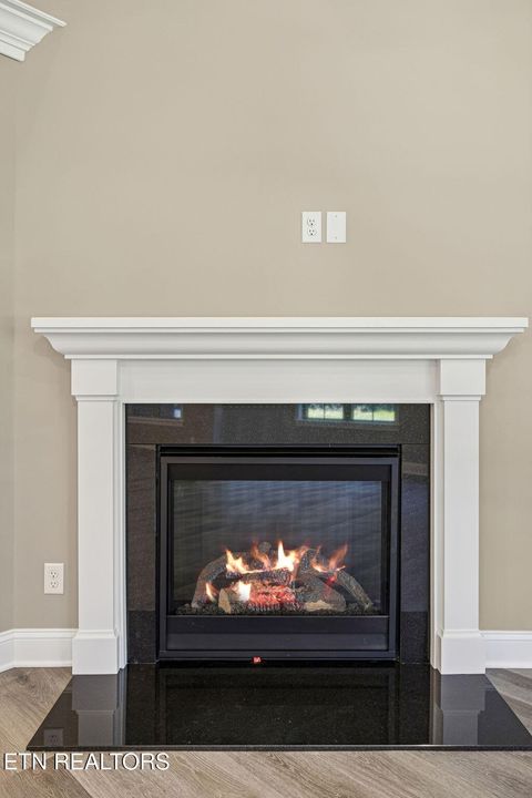 Tiny photo for 219 Lake View Point, Englewood, TN 37329 (MLS # 1324550)