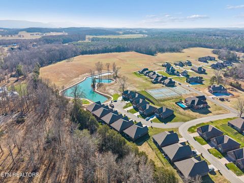 Tiny photo for 219 Lake View Point, Englewood, TN 37329 (MLS # 1324550)