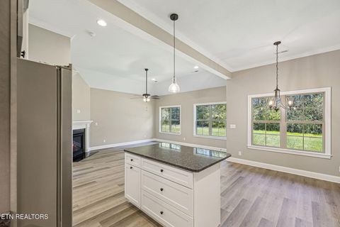 Tiny photo for 219 Lake View Point, Englewood, TN 37329 (MLS # 1324550)