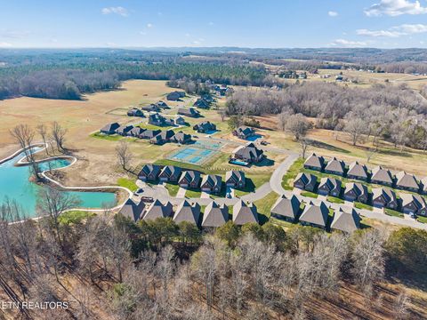 Tiny photo for 219 Lake View Point, Englewood, TN 37329 (MLS # 1324550)