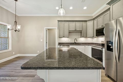 Tiny photo for 219 Lake View Point, Englewood, TN 37329 (MLS # 1324550)