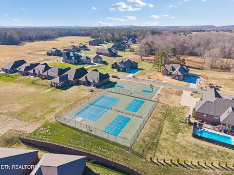 Tiny photo for 219 Lake View Point, Englewood, TN 37329 (MLS # 1324550)