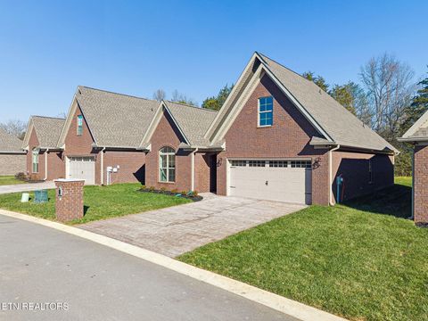 Tiny photo for 219 Lake View Point, Englewood, TN 37329 (MLS # 1324550)