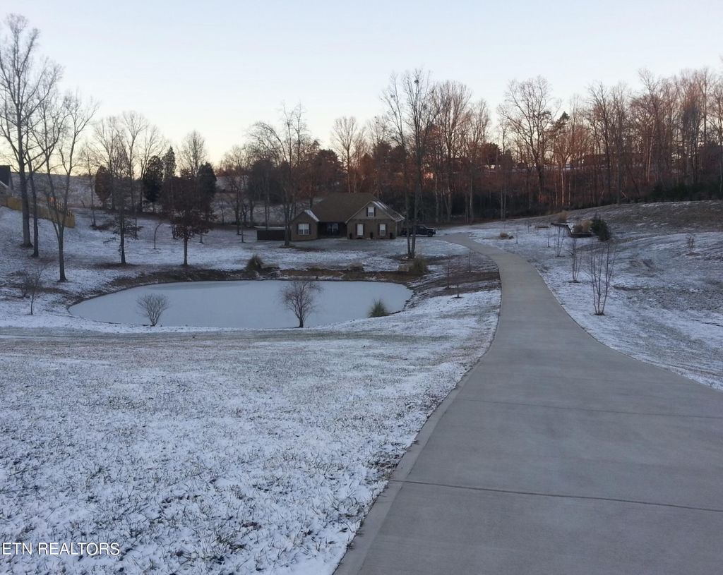 Photo of 1241 Houston Springs Rd, Greenback, TN 37742 (MLS # 1275410)