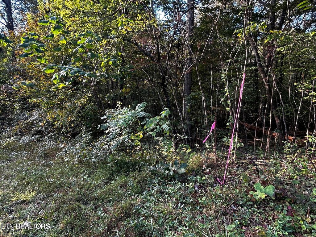 Photo of 1314 Trenton Lane, Clinton, TN 37716 (MLS # 1329607)