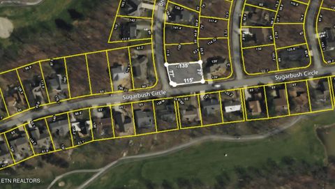 173 Brokenwood Lane Crossville TN 38558