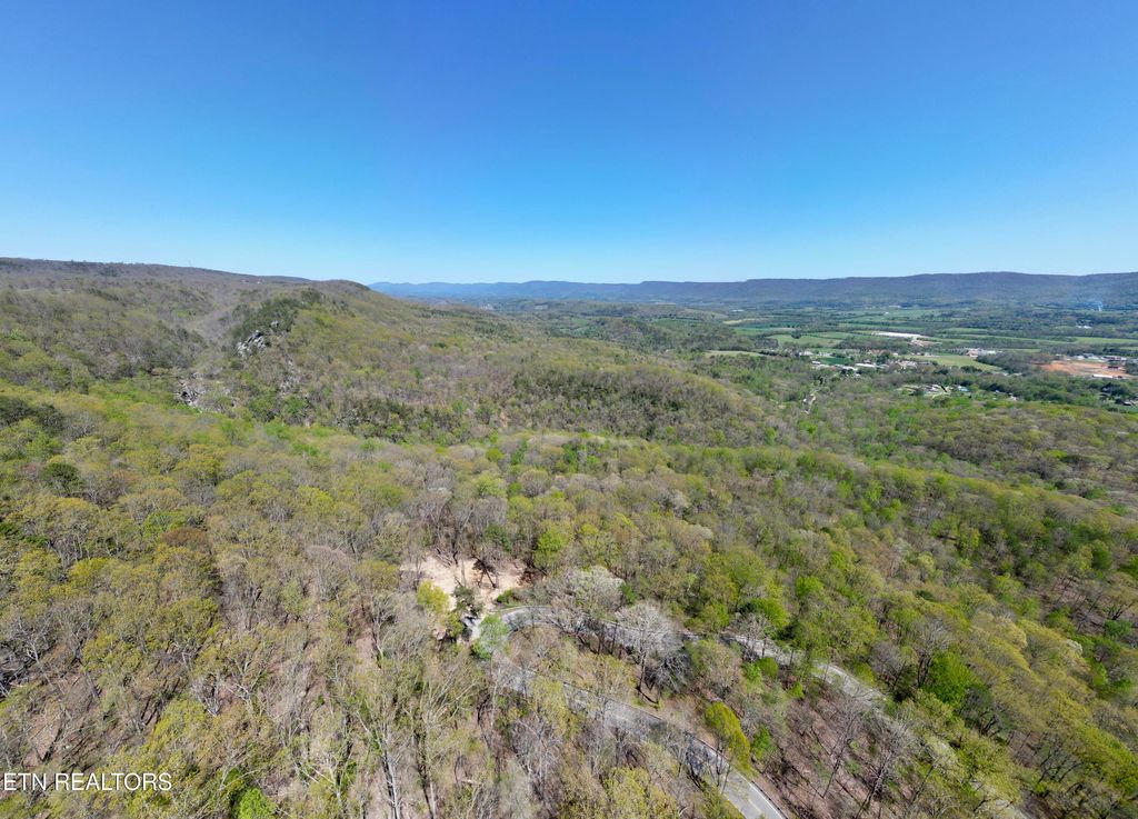 Photo of Old Spencer Rd. - 26 Acres Rd, Pikeville, TN 37367 (MLS # 1331544)