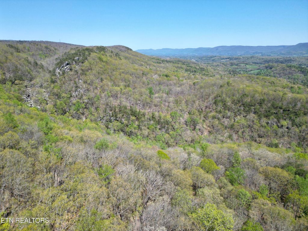 Photo of Old Spencer Rd. - 26 Acres Rd, Pikeville, TN 37367 (MLS # 1331544)