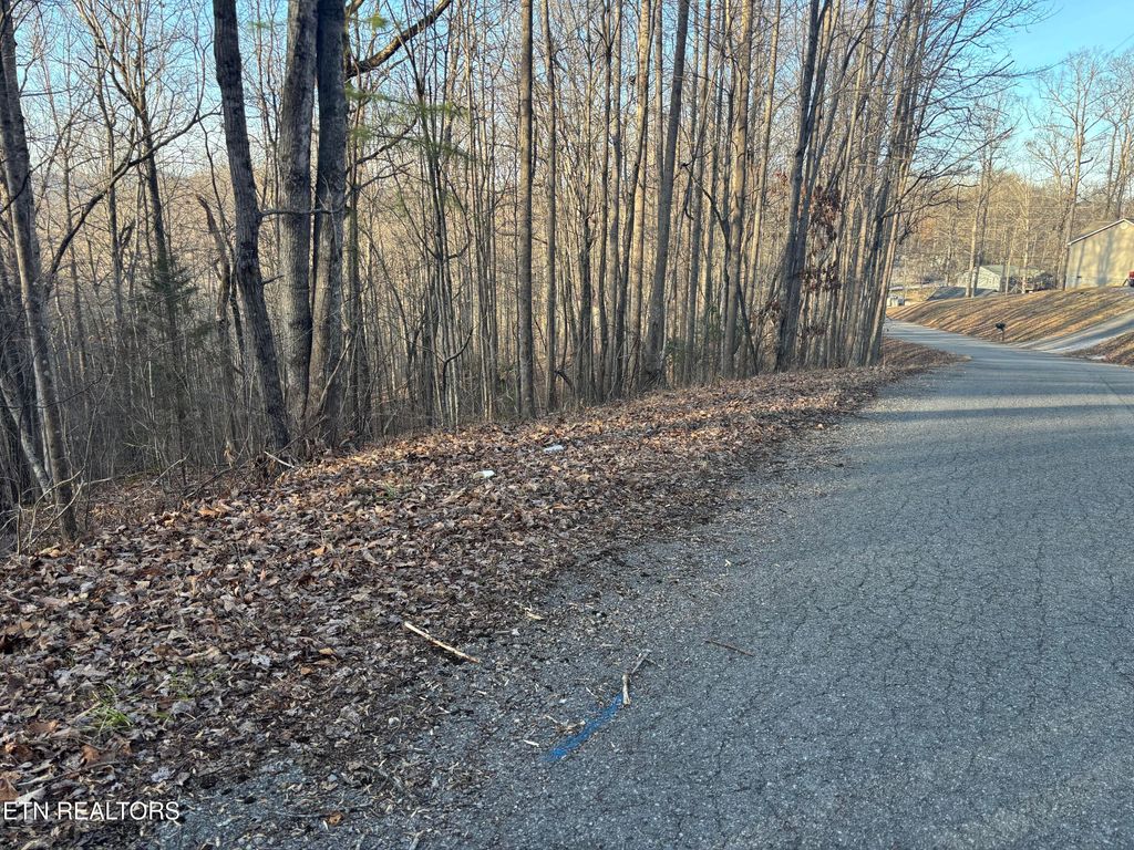 Photo of Kay Drive, LaFollette, TN 37766 (MLS # 1325453)