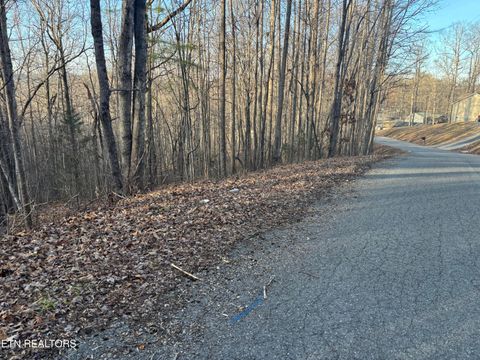 Photo of Kay Drive, LaFollette, TN 37766 (MLS # 1325453)