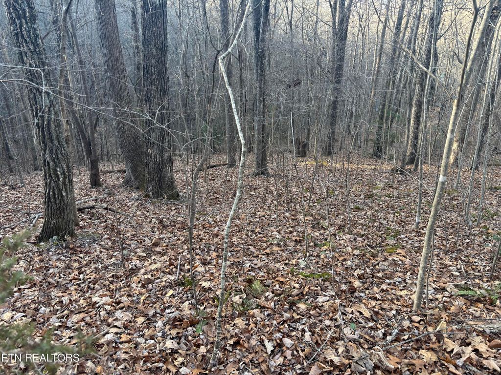 Photo of Kay Drive, LaFollette, TN 37766 (MLS # 1325453)