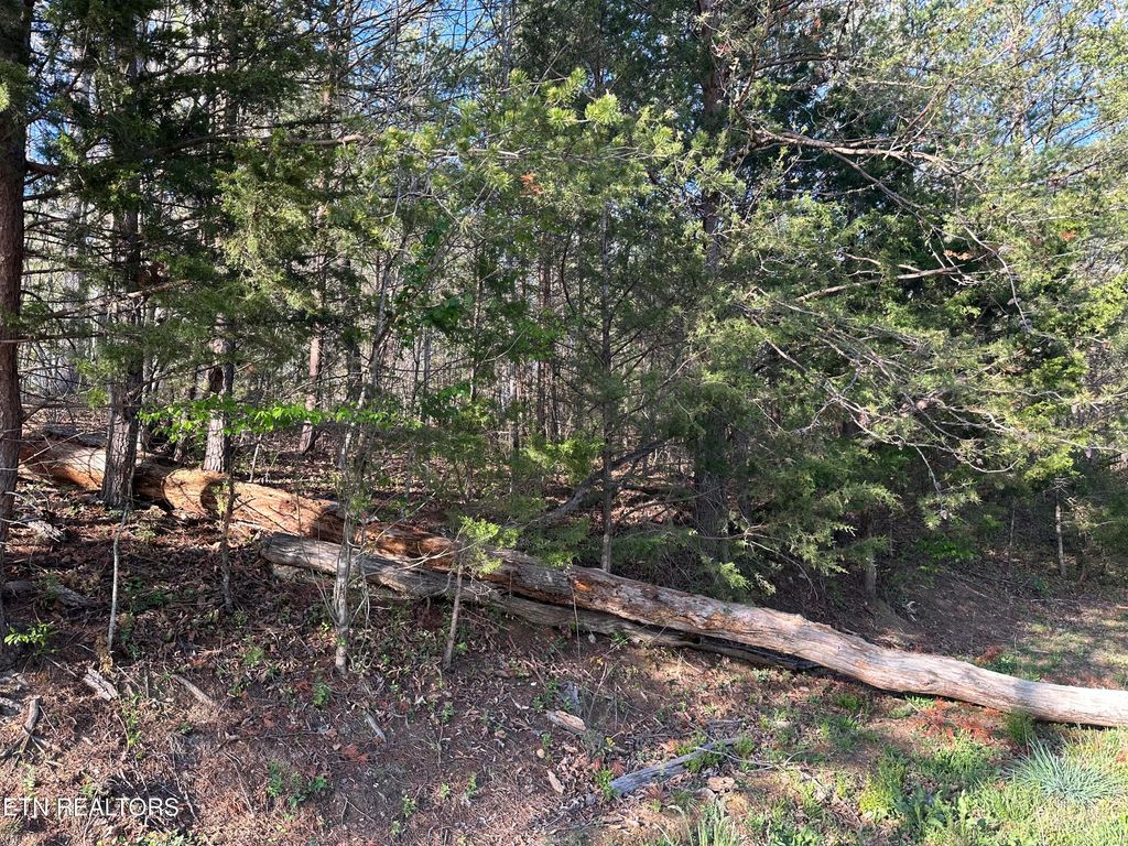 Photo of 1 Timber Trail, Newport, TN 37821 (MLS # 1297915)