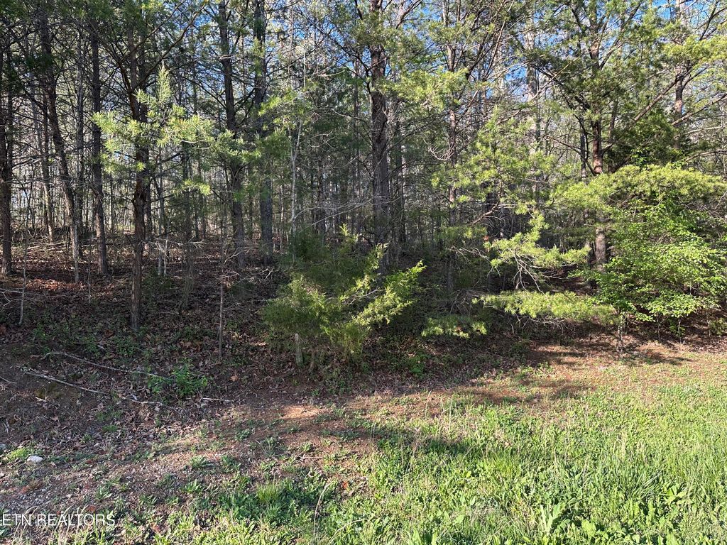 Photo of 1 Timber Trail, Newport, TN 37821 (MLS # 1297915)