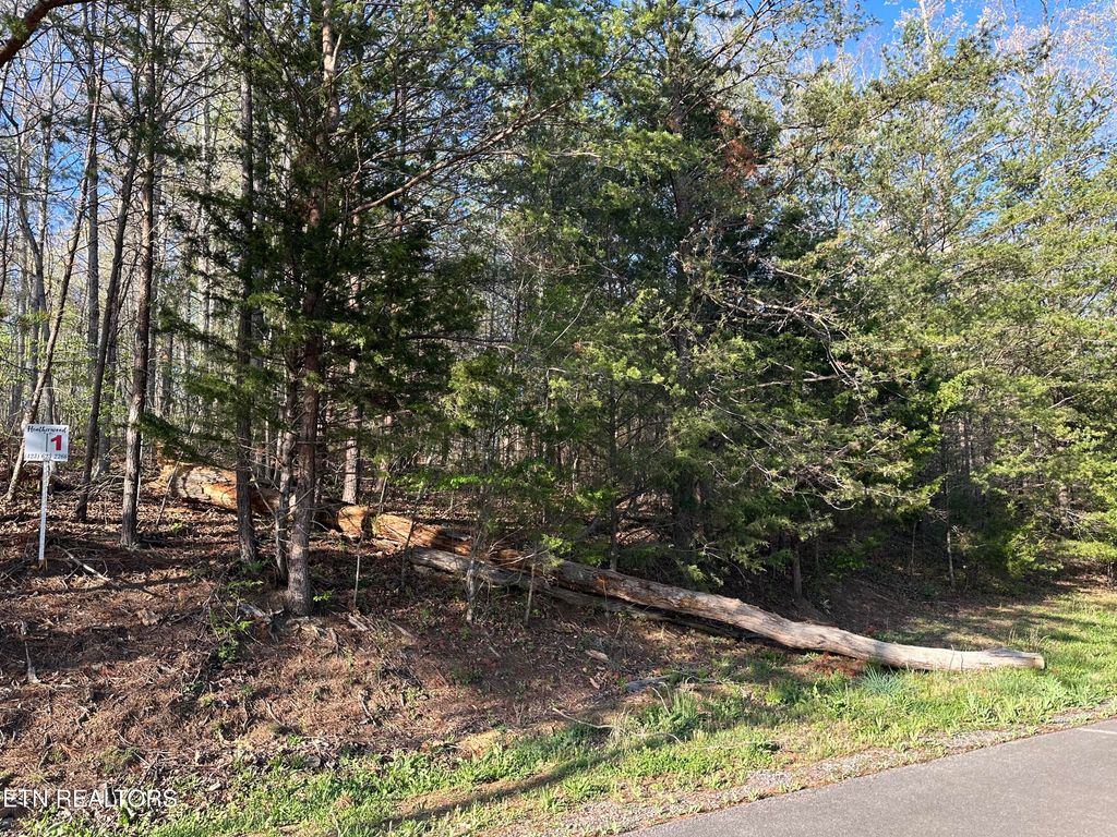 Photo of 1 Timber Trail, Newport, TN 37821 (MLS # 1297915)