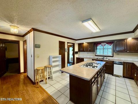 Tiny photo for 1230 Stonewall Jackson Drive, Dandridge, TN 37725 (MLS # 1323333)