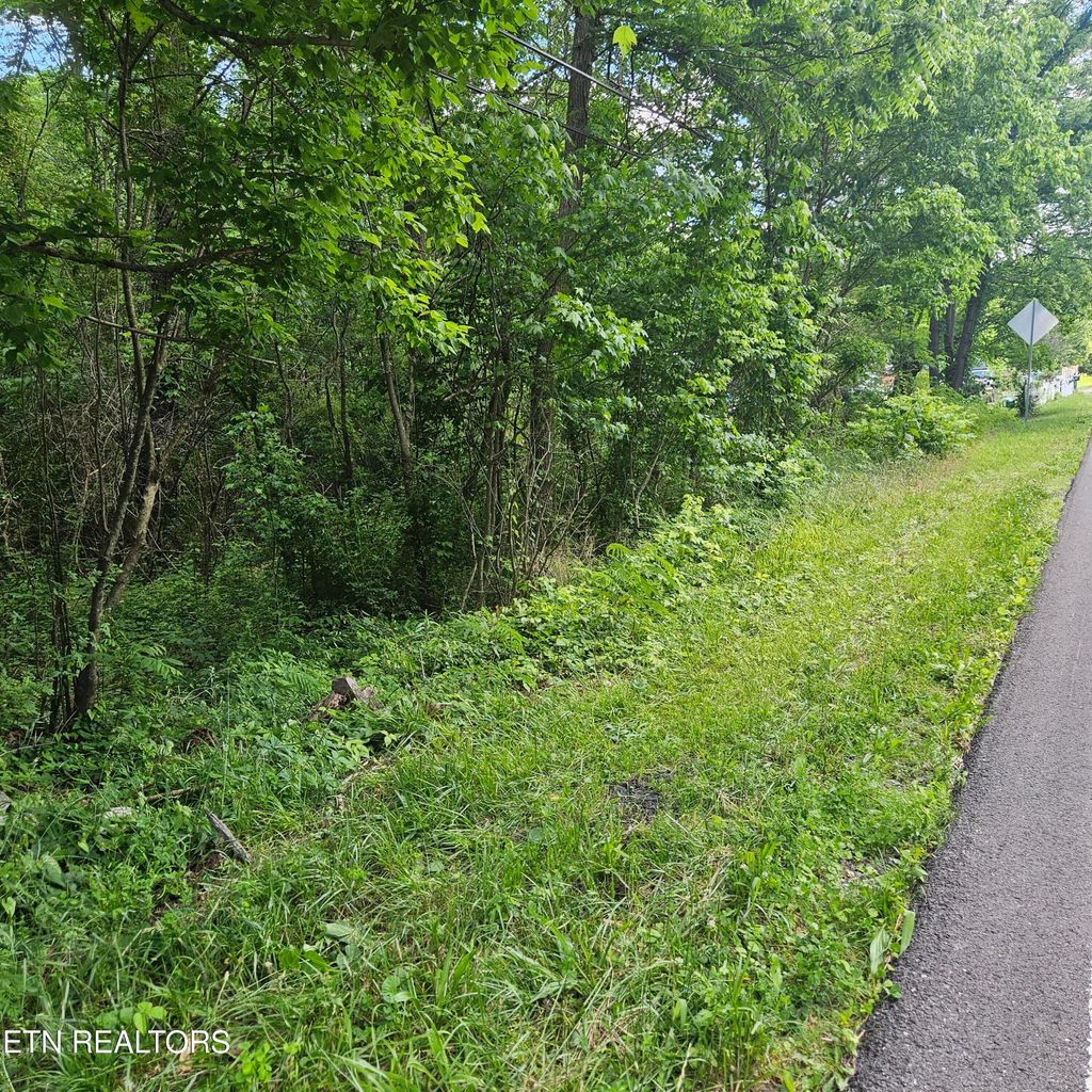 Photo of Frost Bottom Rd, Oliver Springs, TN 37840 (MLS # 1302414)