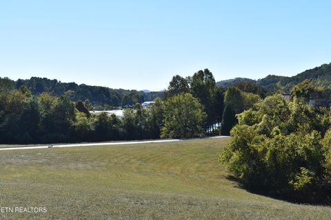 Tiny photo for 135 Amblecrest Drive, Vonore, TN 37885 (MLS # 1318806)