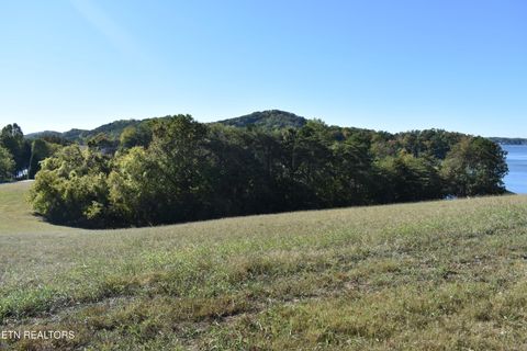 Tiny photo for 135 Amblecrest Drive, Vonore, TN 37885 (MLS # 1318806)