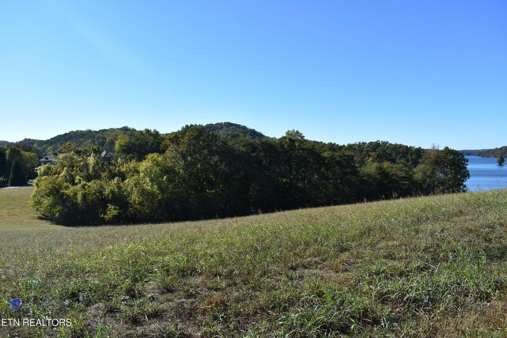 Photo of 135 Amblecrest Drive, Vonore, TN 37885 (MLS # 1318806)