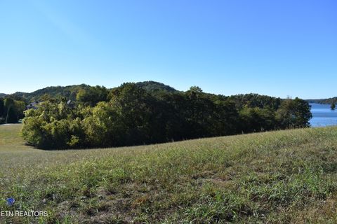 Tiny photo for 135 Amblecrest Drive, Vonore, TN 37885 (MLS # 1318806)