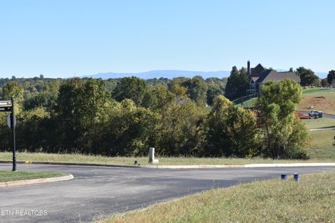 Tiny photo for 135 Amblecrest Drive, Vonore, TN 37885 (MLS # 1318806)