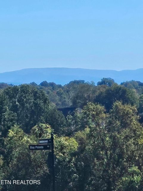 Photo of 135 Amblecrest Drive, Vonore, TN 37885 (MLS # 1318806)